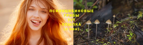синтетический гашиш Бородино